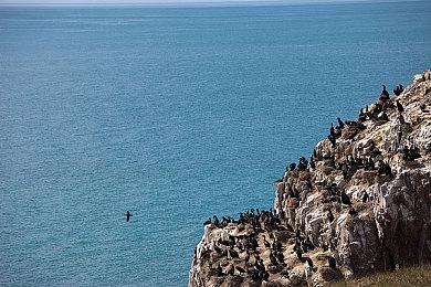 樱井开课讲授角色特效设计要点《星海5》遭批评
